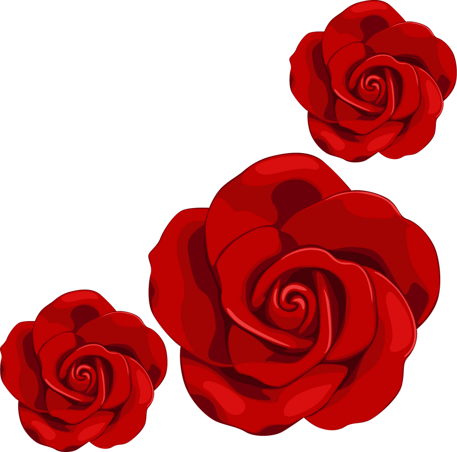 three roses