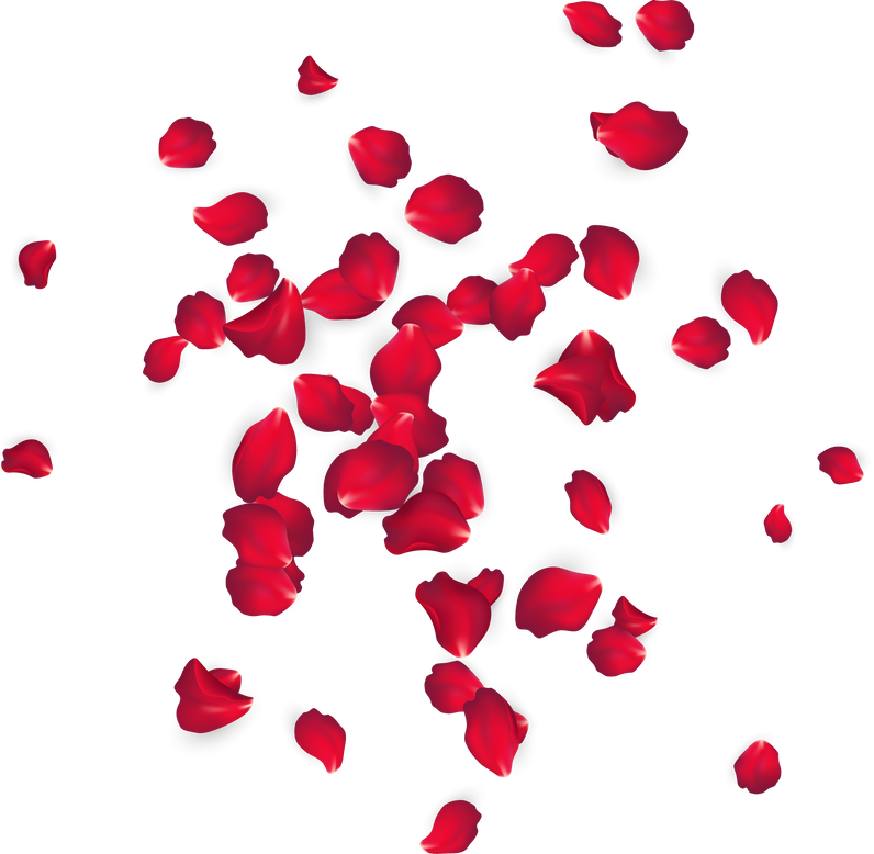 Rose Petals Design Element